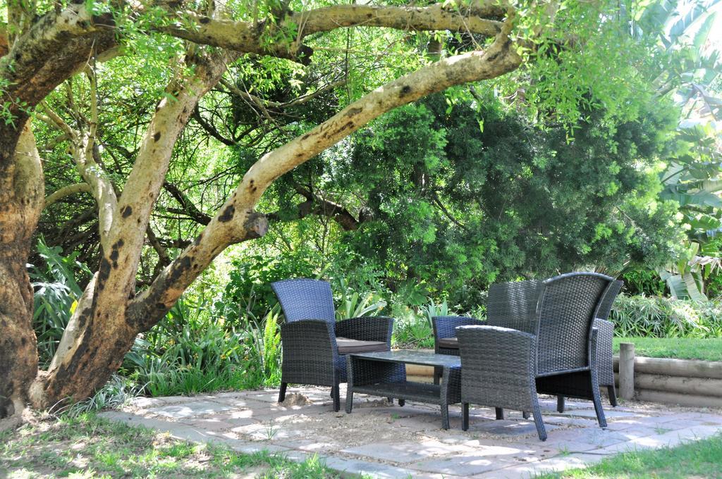 Umlambo River Lodge Kirkwood Exterior foto